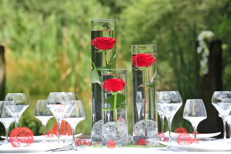 Dolce Terra — photo 3