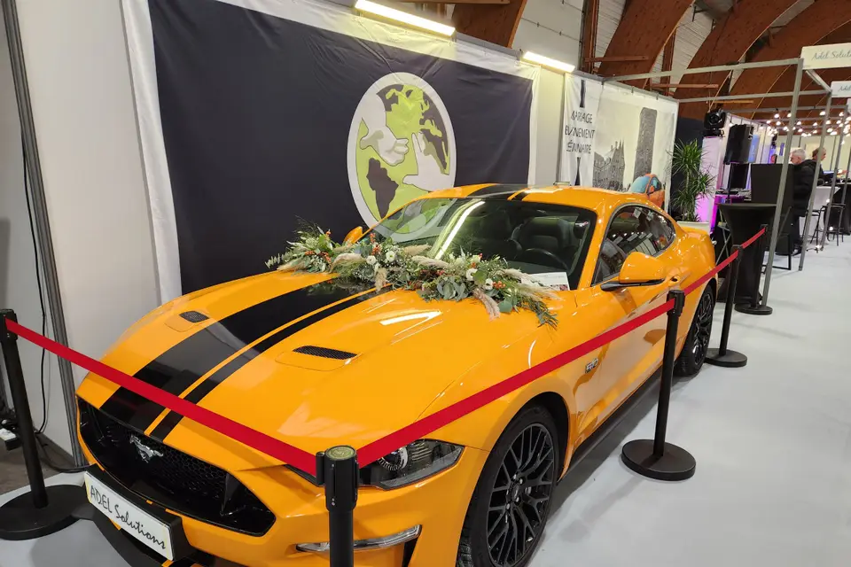 Adel Solutions — photo 5