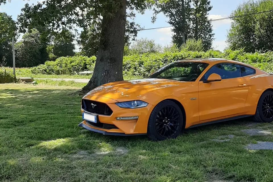 Adel Solutions — photo 3