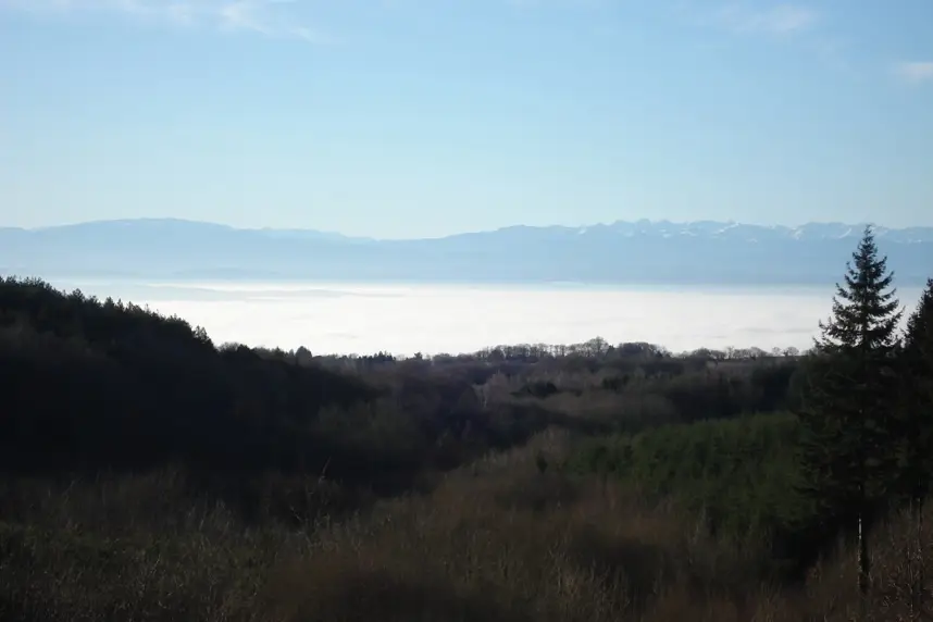 Le Domaine de Camigné — photo 2