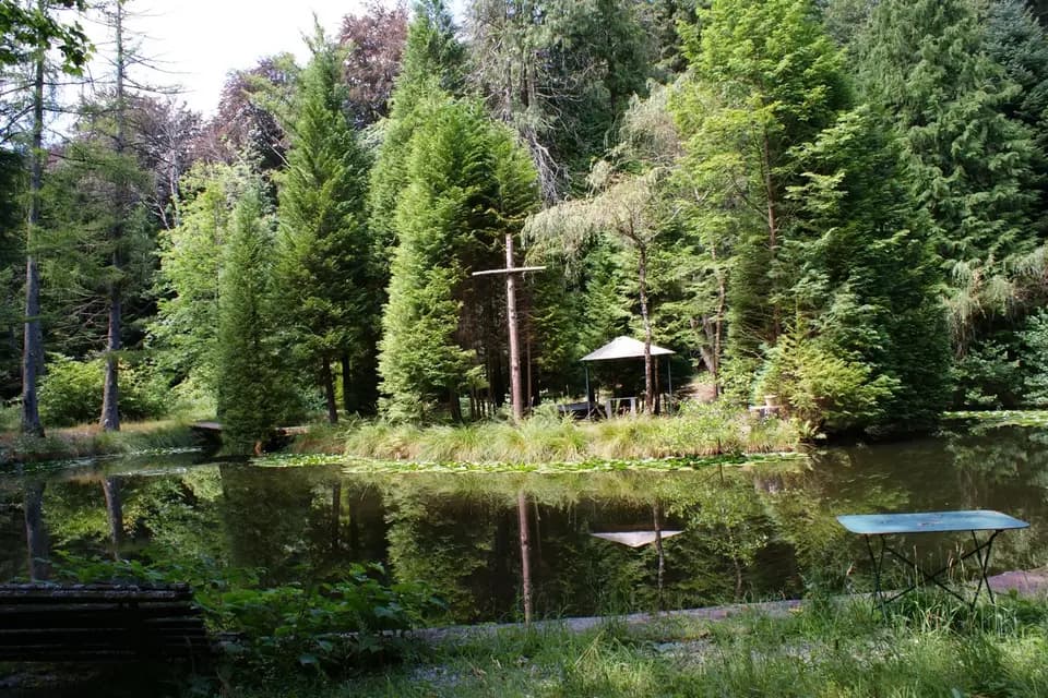 Le Domaine de Camigné — photo 5