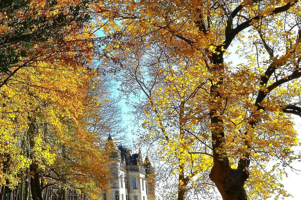 Château de la Mercerie — photo 5