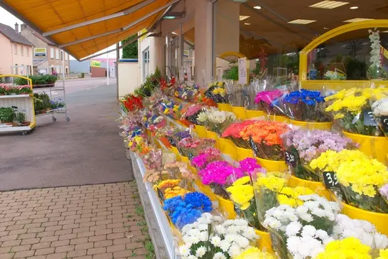 Floralys — photo 5