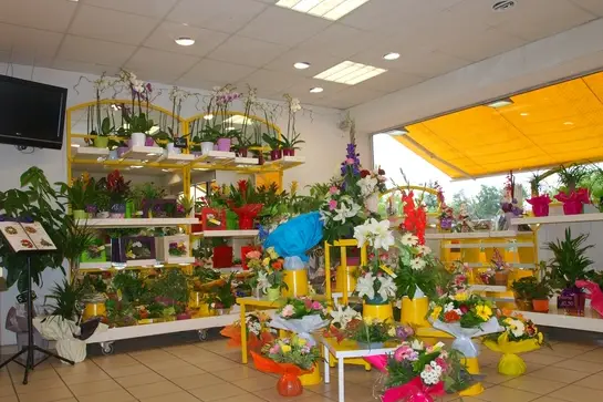 Floralys — photo 4