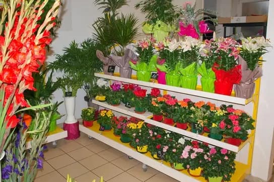 Floralys — photo 2