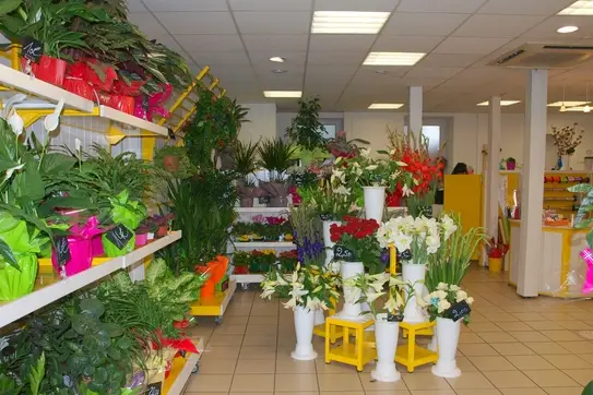 Floralys — photo 1