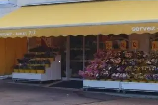 Floralys — photo 7