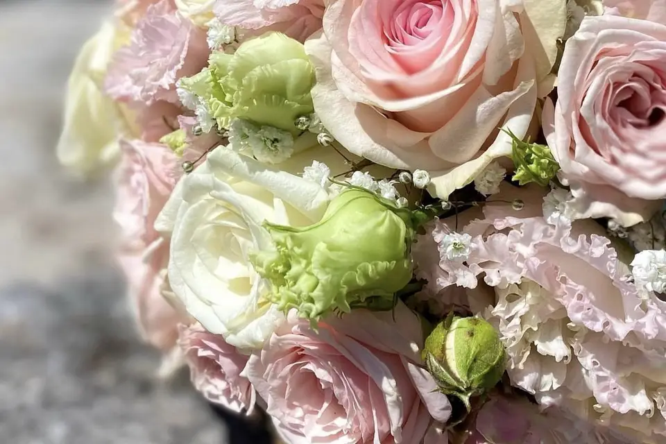 Préambulb — photo 1