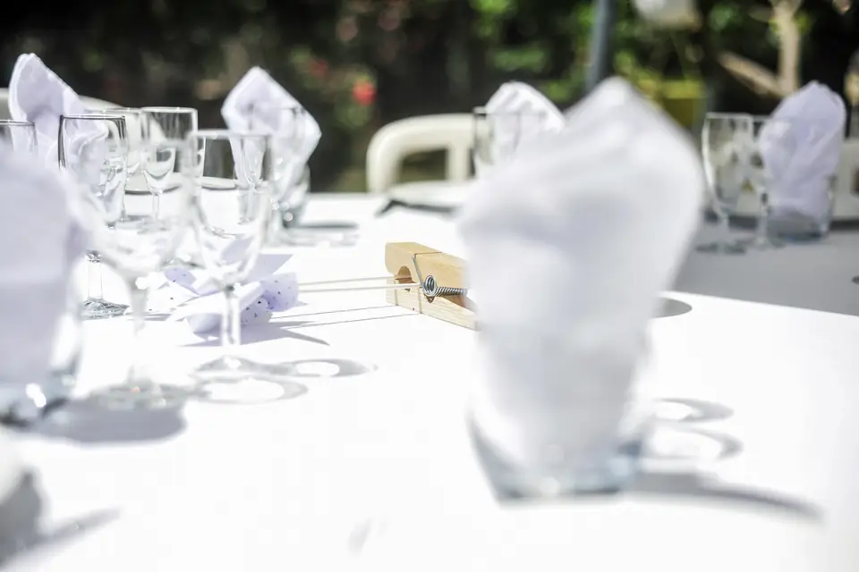 Pink Rabbit Event — photo 3