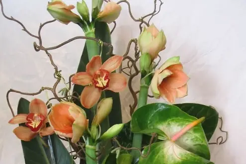 Versade Fleurs Paris — photo 5