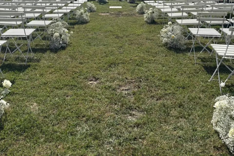 Manade des Montilles — photo 7