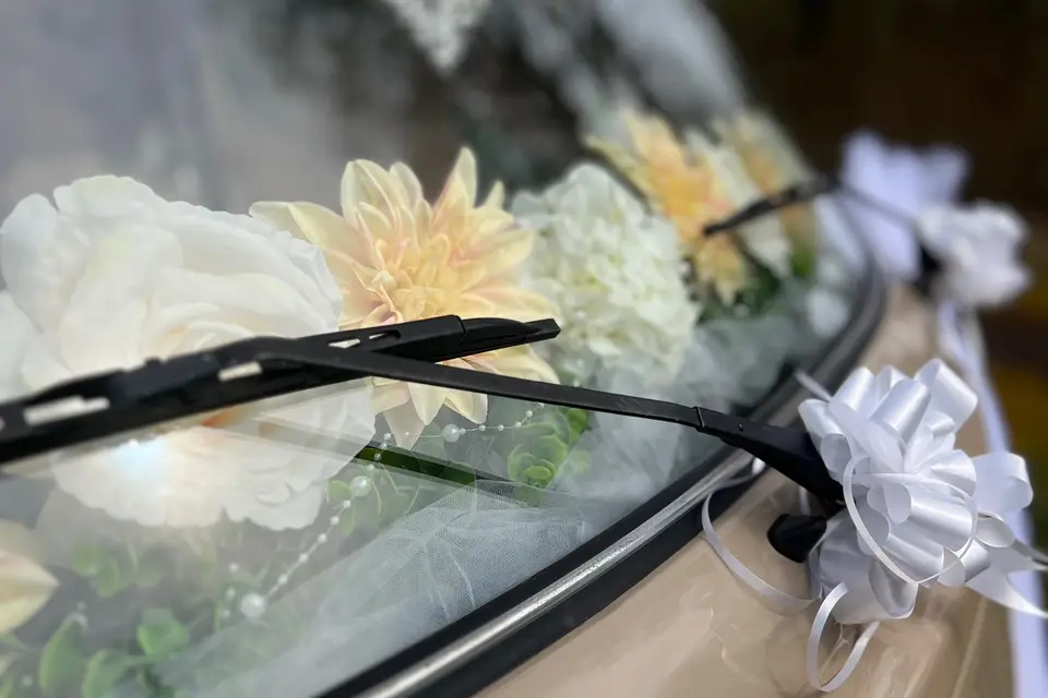 Bergnier Rudolph — photo 5