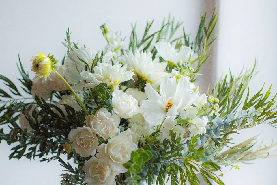 Mayabloom — photo 1