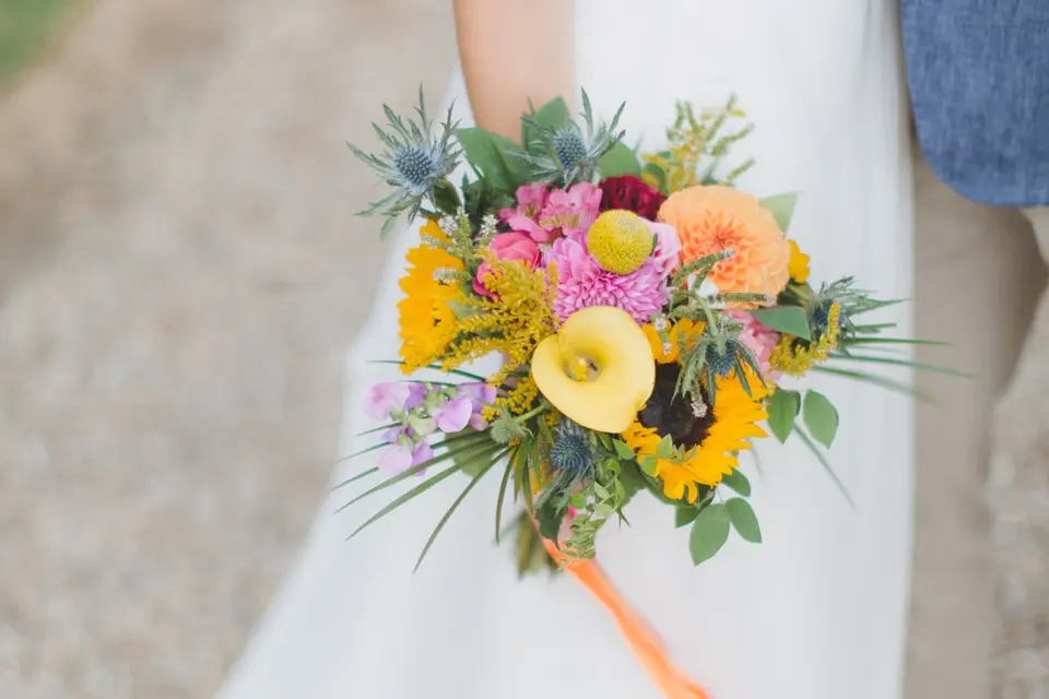 Nicolas Natalini Photographe — photo 4