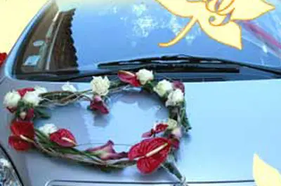 Floragil — photo 5