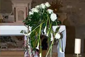 Floragil — photo 8