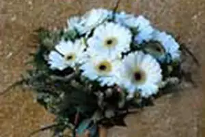 Floragil — photo 4