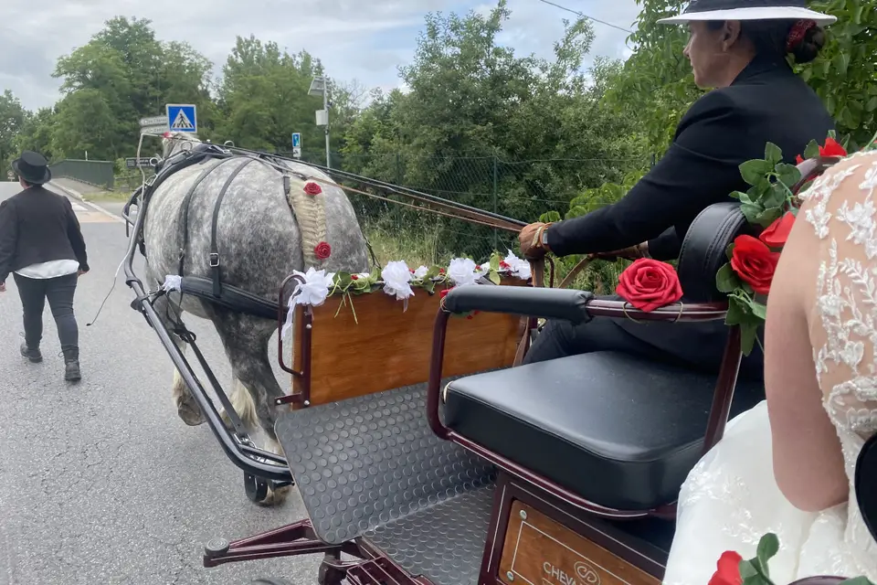 Cheval Diffusion — photo 5