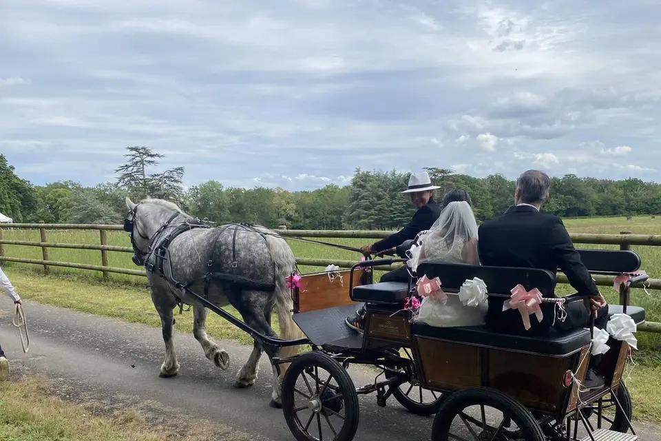 Cheval Diffusion — photo 3