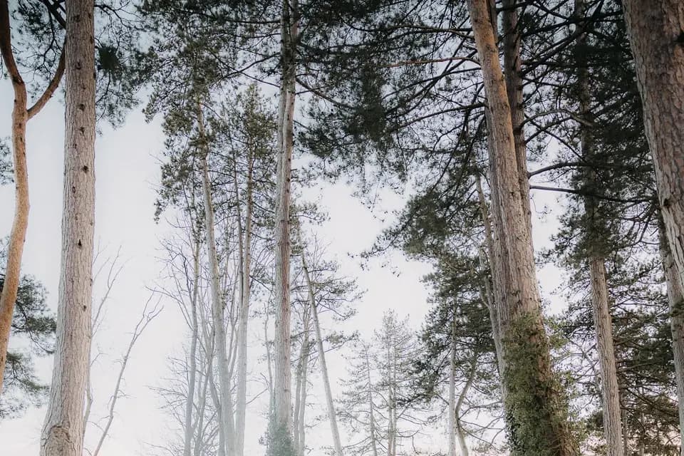 Ekemenproduction — photo 5