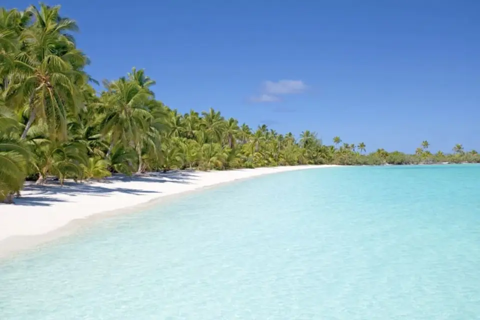 Jenny's Voyages — photo 7