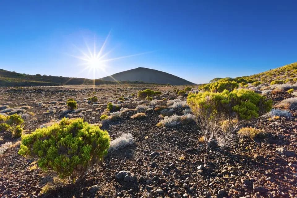 Jenny's Voyages — photo 6