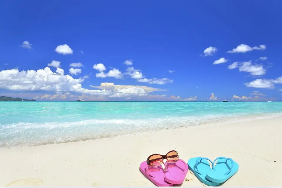 Jenny's Voyages — photo 2