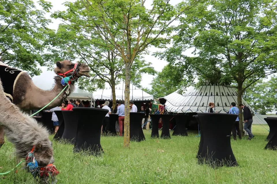 La Belle Aurore — photo 3