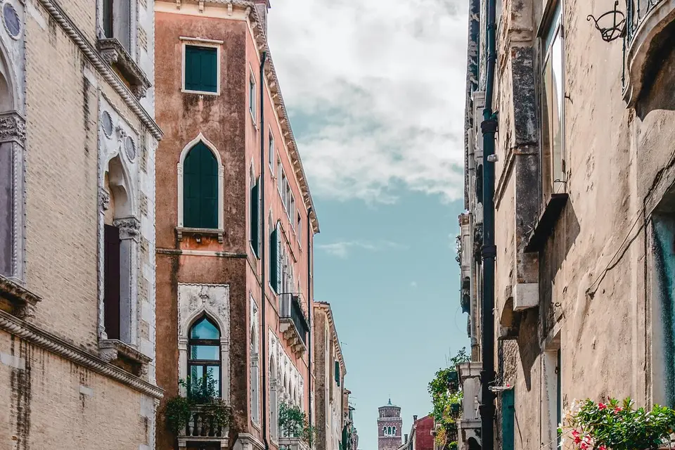 Alsavosges Sélectour — photo 5