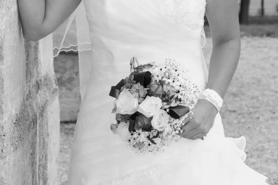 HL Photos — photo 2