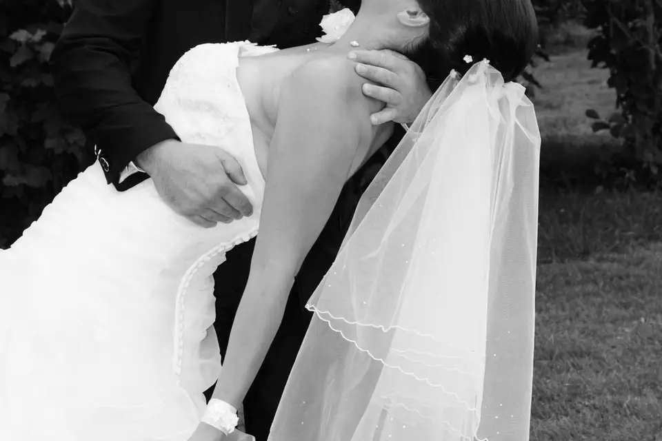 HL Photos — photo 6