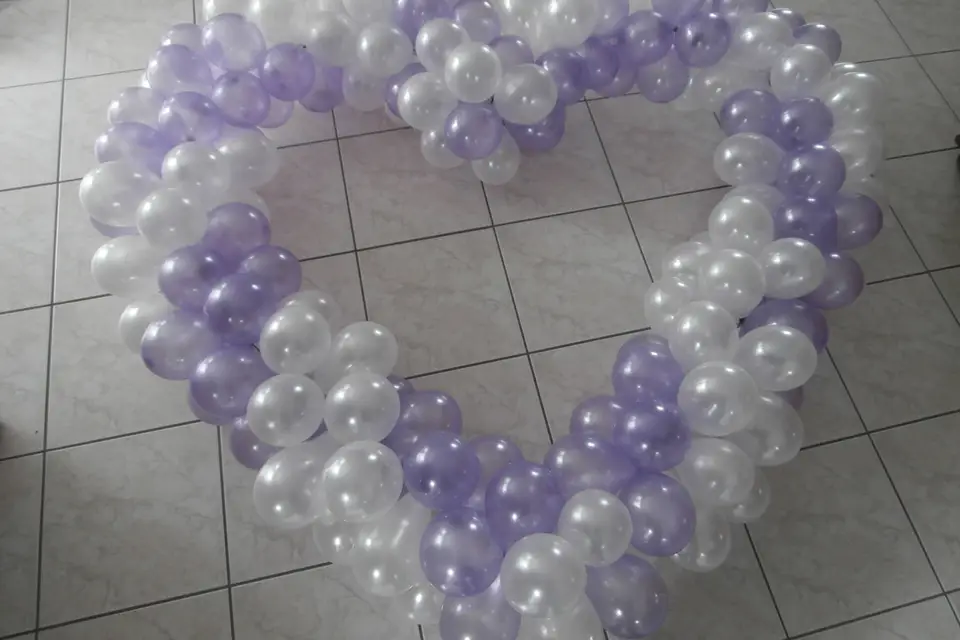 CDidier Animation — photo 8