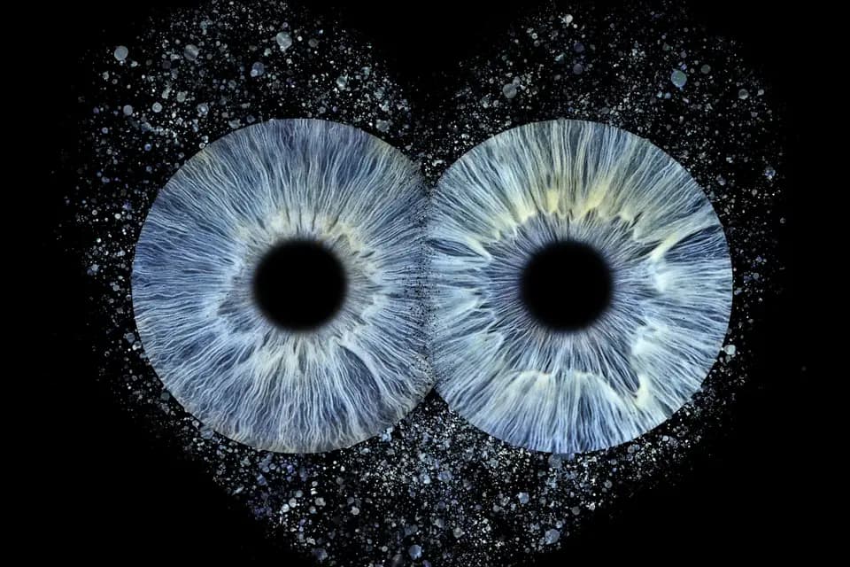 You and Eye Photo Quimper — photo 7