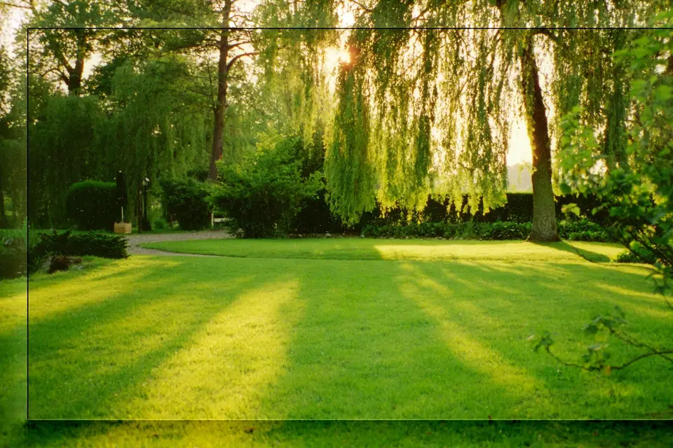 Moulin du Becquerel — photo 5