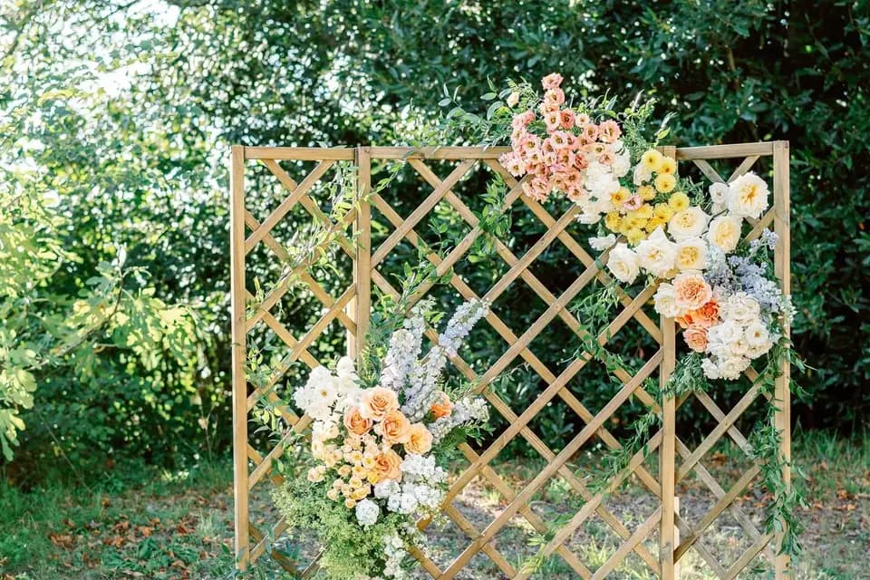 Agellos Event — photo 6