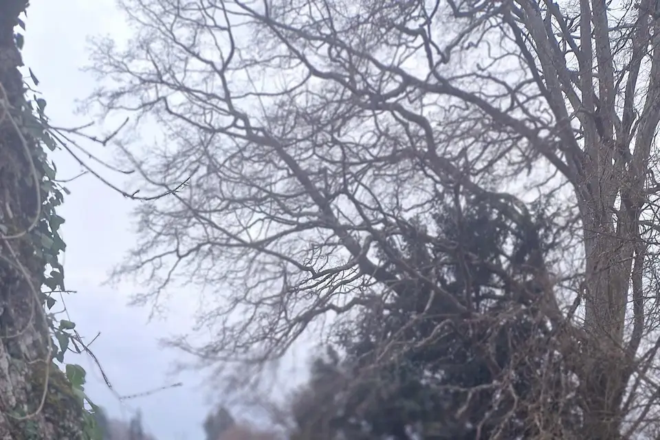 Domaine de la Boutelaye — photo 8