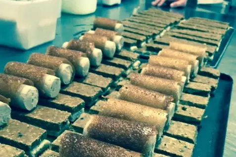 Comme à la Maison — photo 2