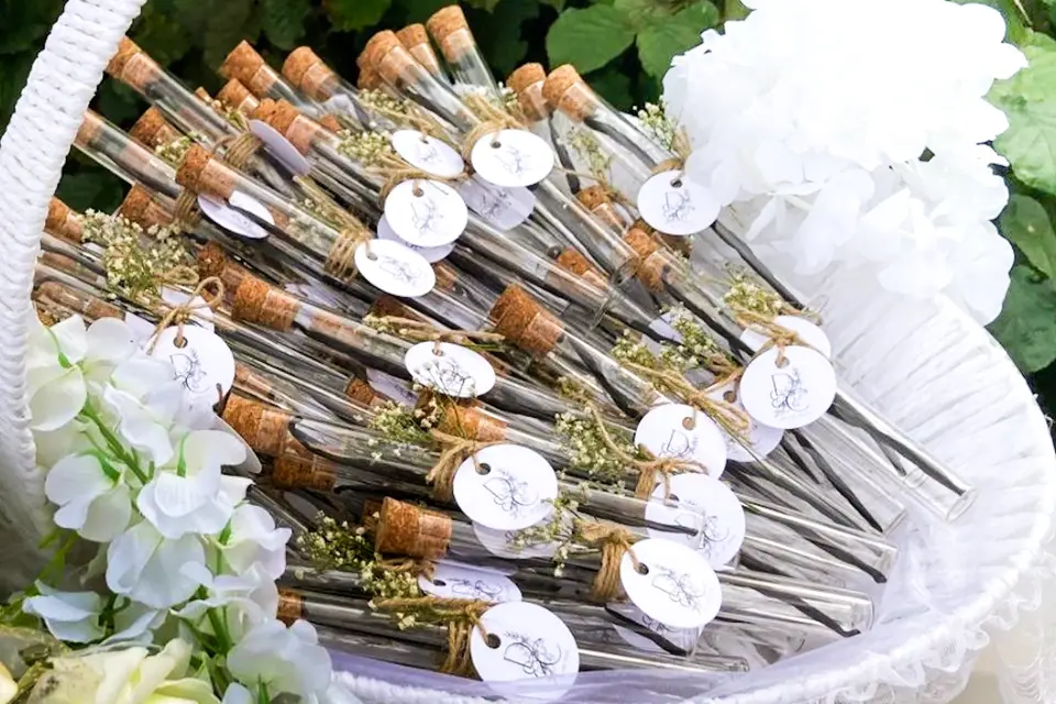 Mahafaly — photo 5