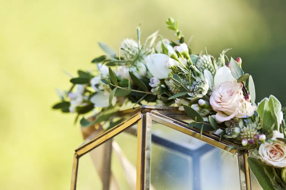 Lady Sheyen — photo 2