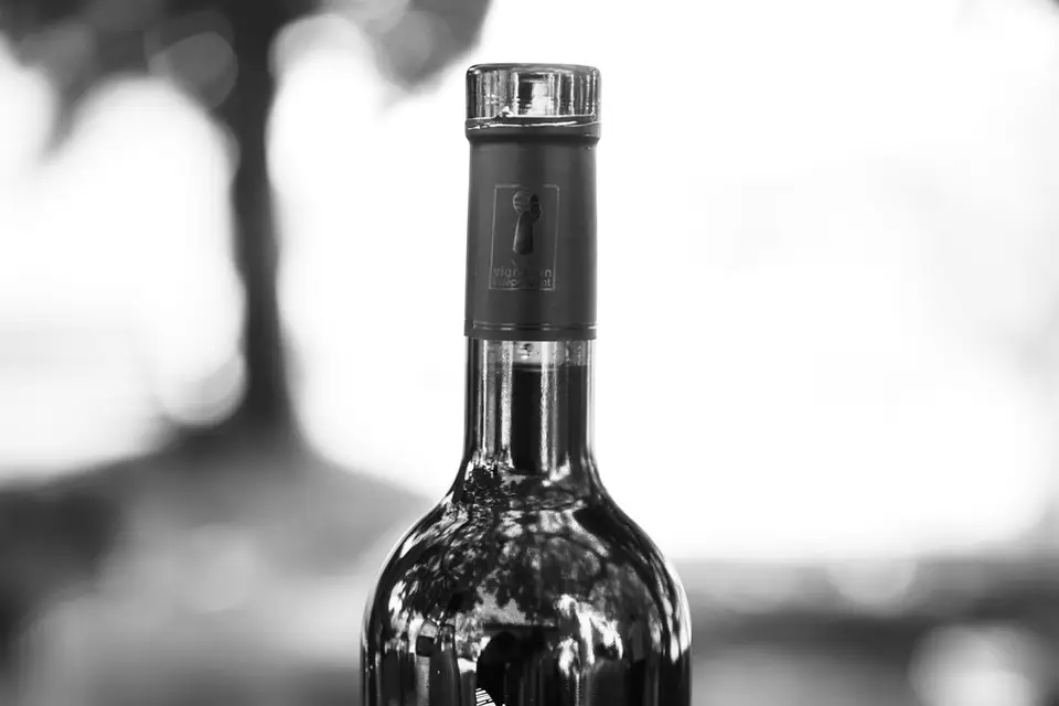 Domaine Bastide du Plan — photo 7