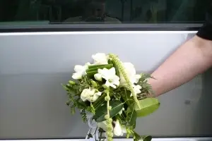 Lannet Fleurs — photo 2