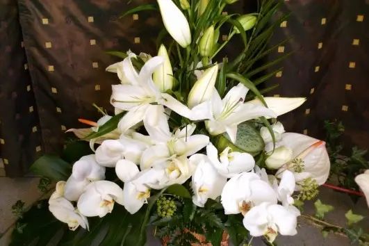 Lannet Fleurs — photo 4