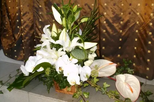 Lannet Fleurs — photo 8