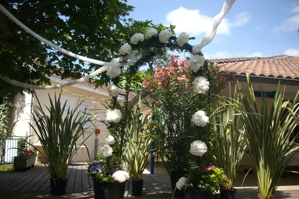 Leylandii — photo 8