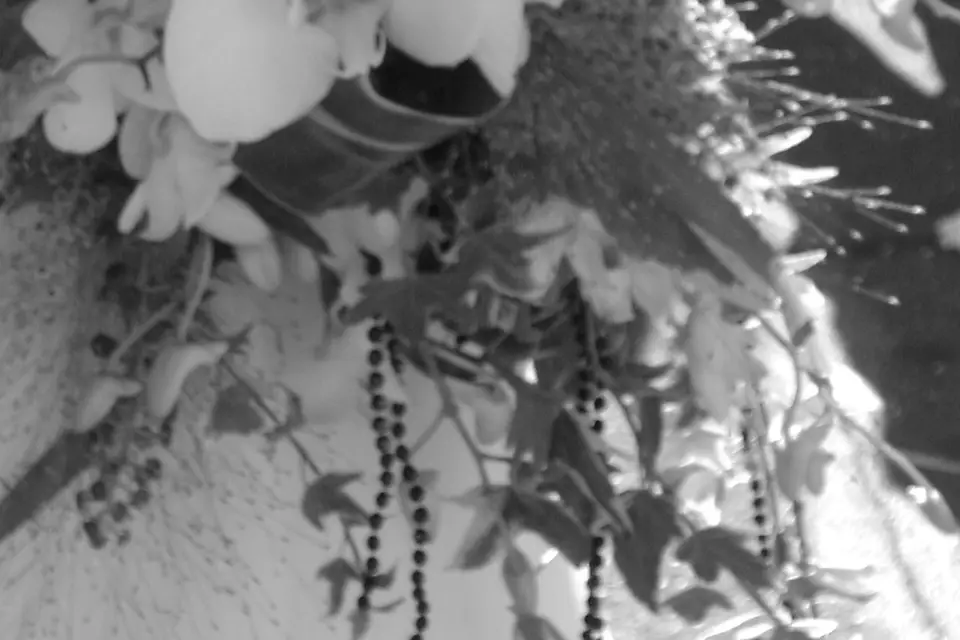 Codedeco — photo 6