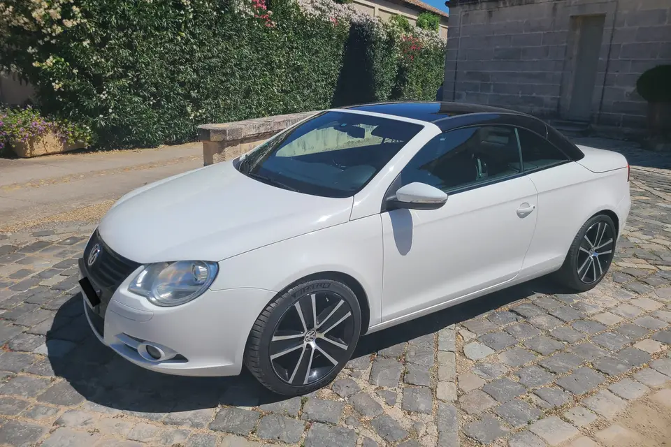 Happy Road — photo 4