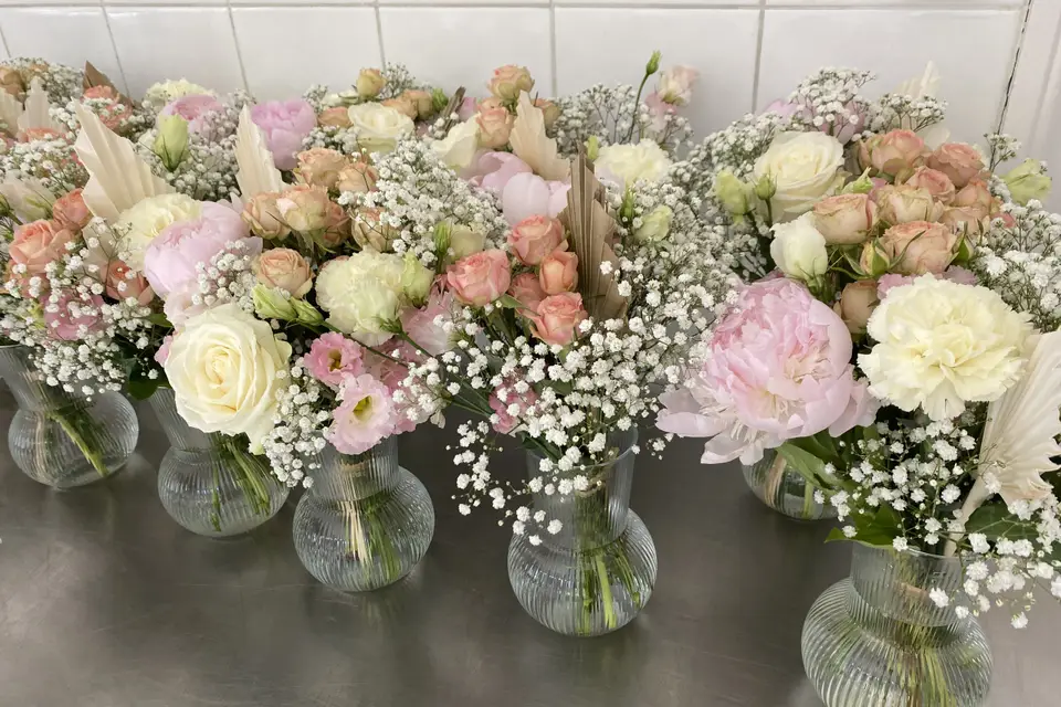 Prune et Jasmin — photo 1