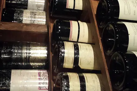 Plein Carton — photo 5