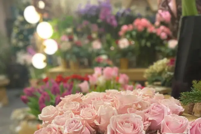 Prune et Jasmin — photo 4