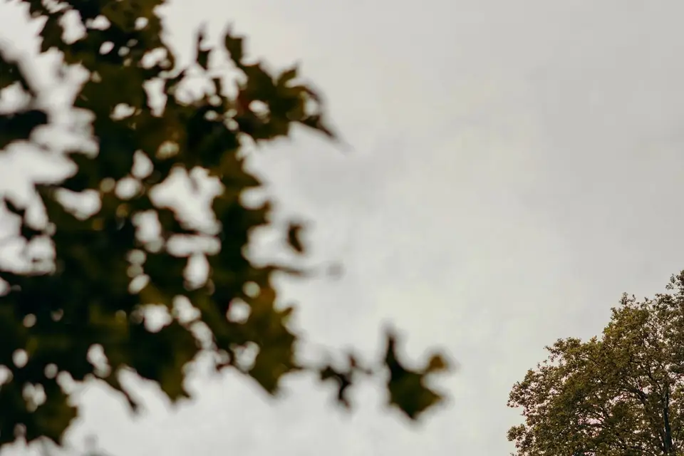 Château de Montolivet — photo 2